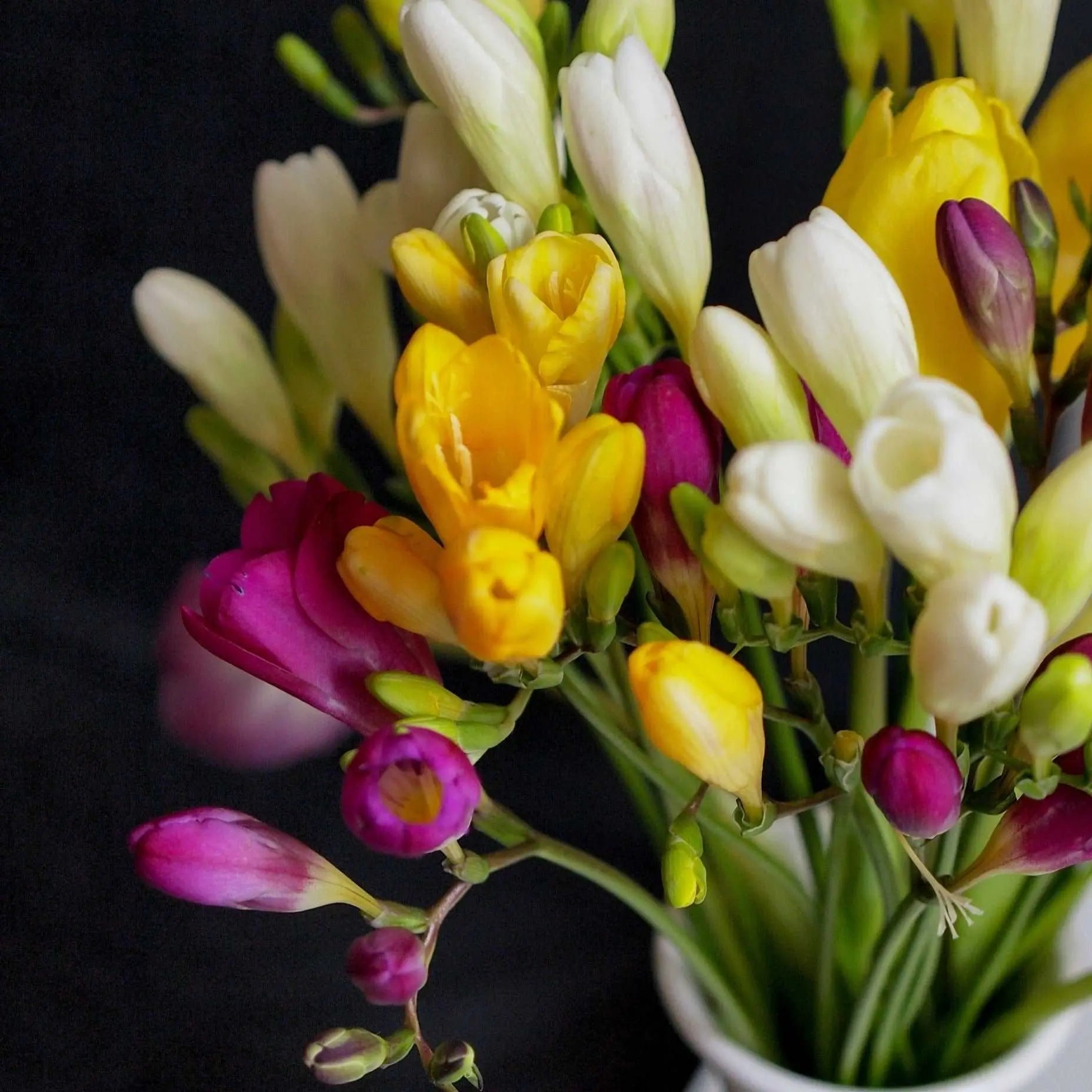 a bouquet of flowers in a white vase 